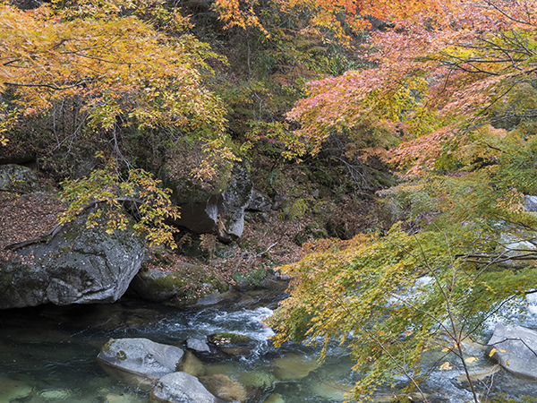 Shinkyo Gorge